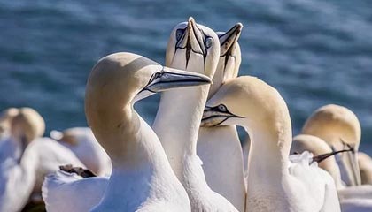 333体育｜电竞-官方网站：引领体育与电竞的新纪元